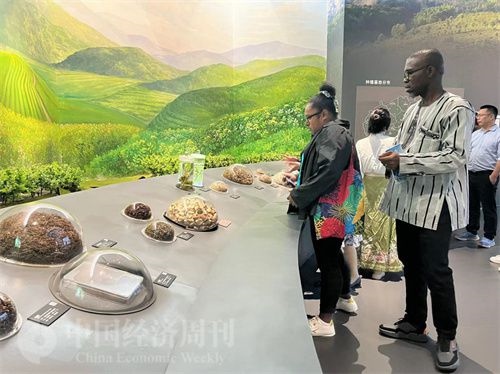  （在中國藥都中醫(yī)藥博物館，外媒記者了解中醫(yī)藥發(fā)展史。中國經(jīng)濟周刊記者 郭志強 攝）