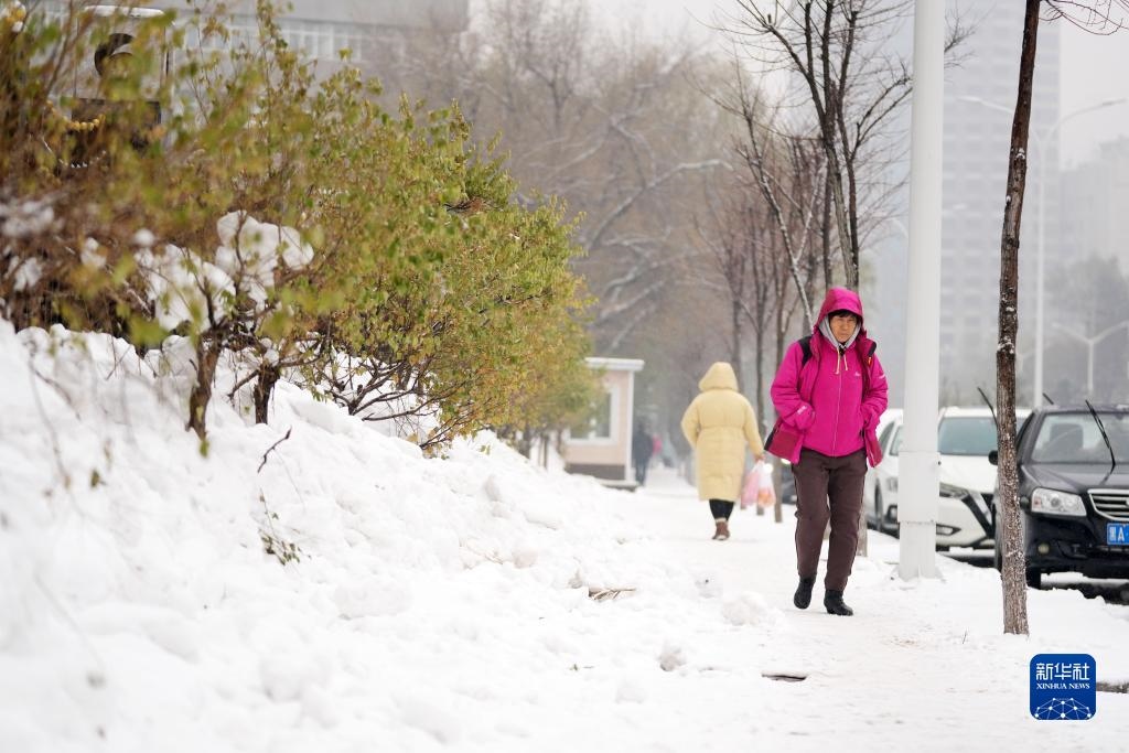 11月16日，市民在雪中前行。當日，黑龍江哈爾濱市迎來雨雪天氣。新華社記者 王建威 攝