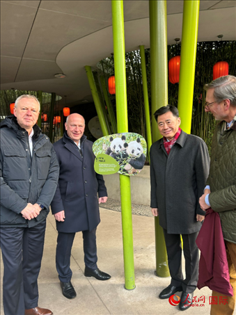 中國駐德國大使吳懇（右二）、柏林市長韋格納（左二）、動(dòng)物園園長克尼里姆（右一）和監(jiān)事會(huì)主席布魯克曼（左一）共同為“夢(mèng)想”“夢(mèng)圓”大熊貓紀(jì)念牌揭幕。人民網(wǎng)記者 徐馨攝