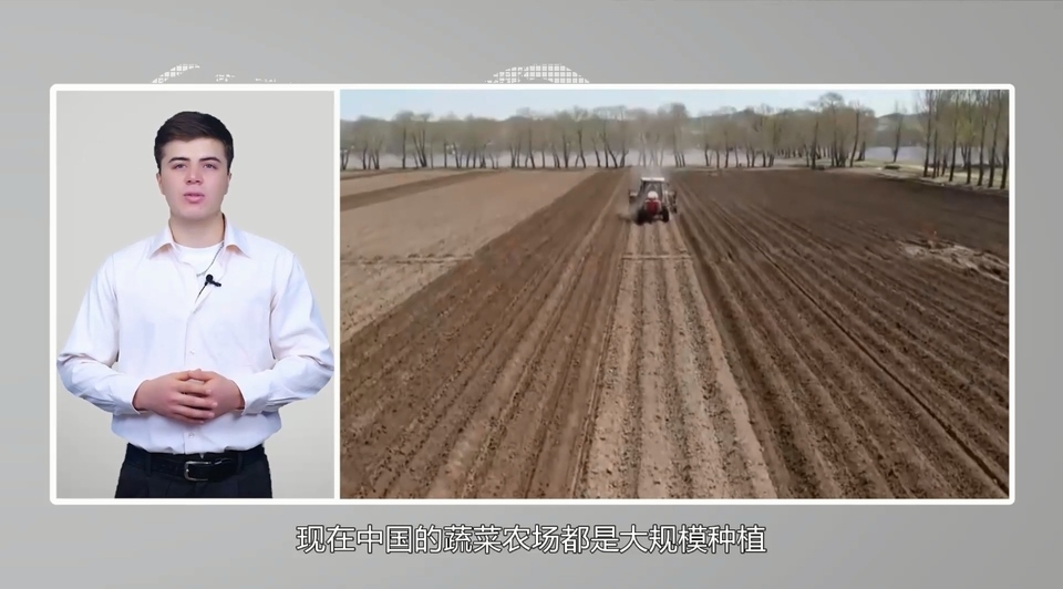 【國際3分鐘】中國大蒜成國家威脅？美政客反智言論背后的問題值得思考_fororder_2