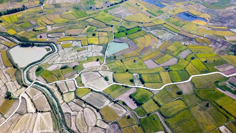 安徽省鳳陽縣小崗村的田野景象（2018年9月27日攝，無人機(jī)照片）。新華社記者 張端 攝