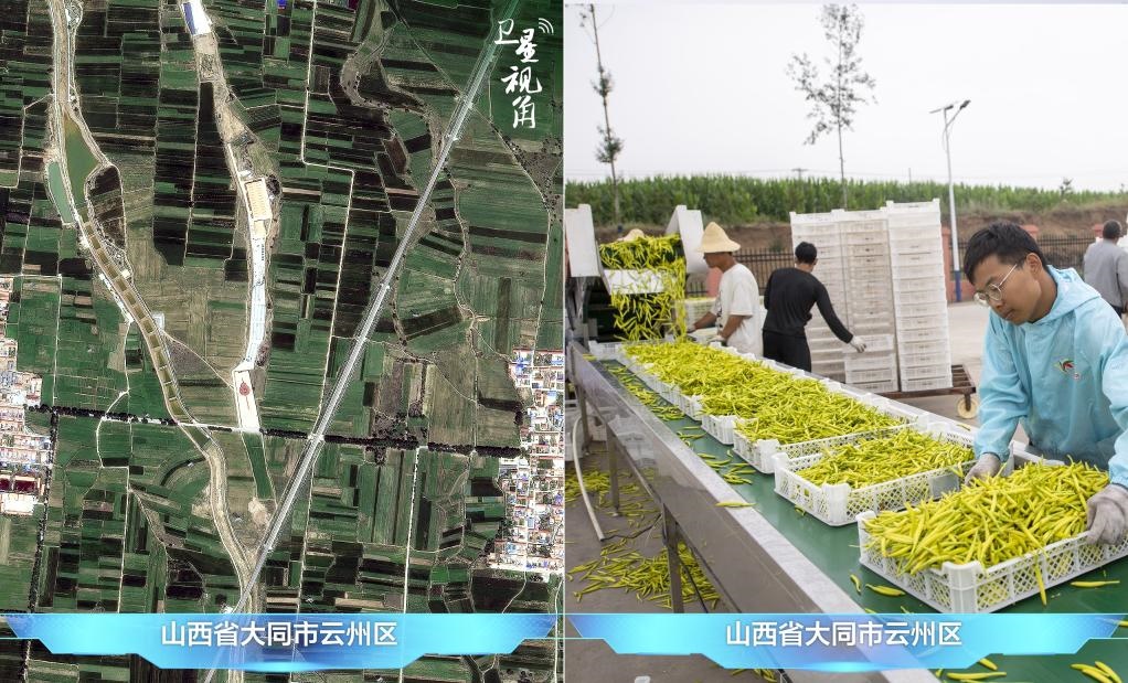 當(dāng)前，大同市開發(fā)黃花菜品、食品、飲品、功能食品、化妝品、文創(chuàng)產(chǎn)品六大系列130余種，全產(chǎn)業(yè)鏈產(chǎn)值超40億元。
