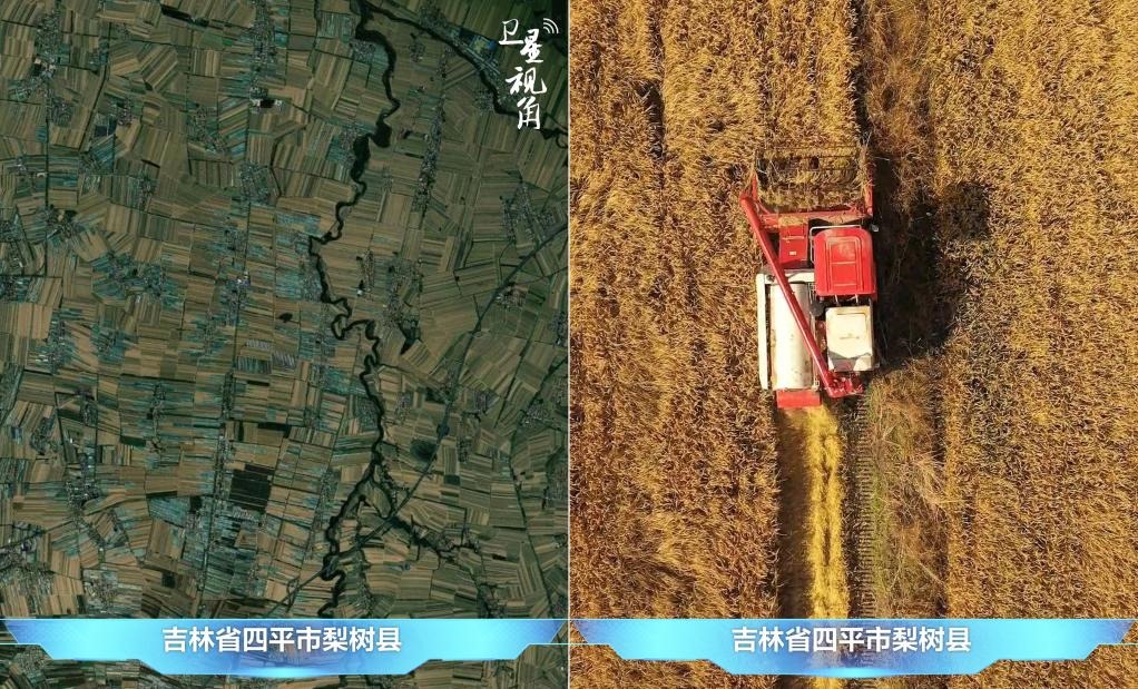 隨著現(xiàn)代化農(nóng)機(jī)普及應(yīng)用，保護(hù)性耕作“梨樹模式”得以大面積推廣，不僅使黑土地保護(hù)與利用持續(xù)深入，更為糧食作物高產(chǎn)穩(wěn)產(chǎn)助力。