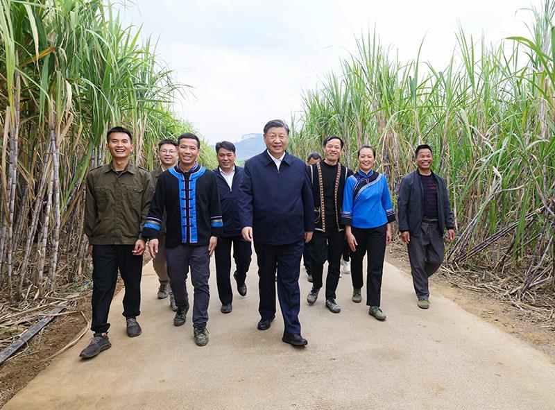 2023年12月14日，習(xí)近平總書記在廣西來賓市國家現(xiàn)代農(nóng)業(yè)產(chǎn)業(yè)園黃安優(yōu)質(zhì)“雙高”糖料蔗基地考察。