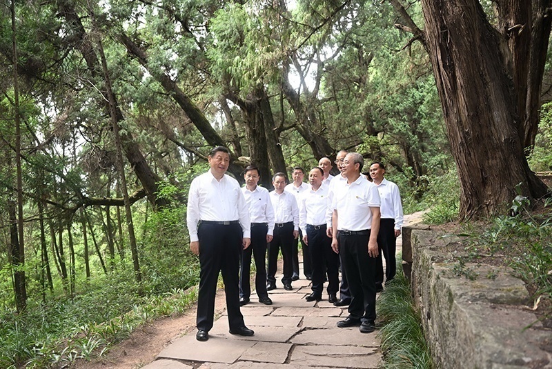 2023年7月25日，習近平總書記在四川廣元市劍閣縣翠云廊考察。新華社記者 謝環(huán)馳 攝