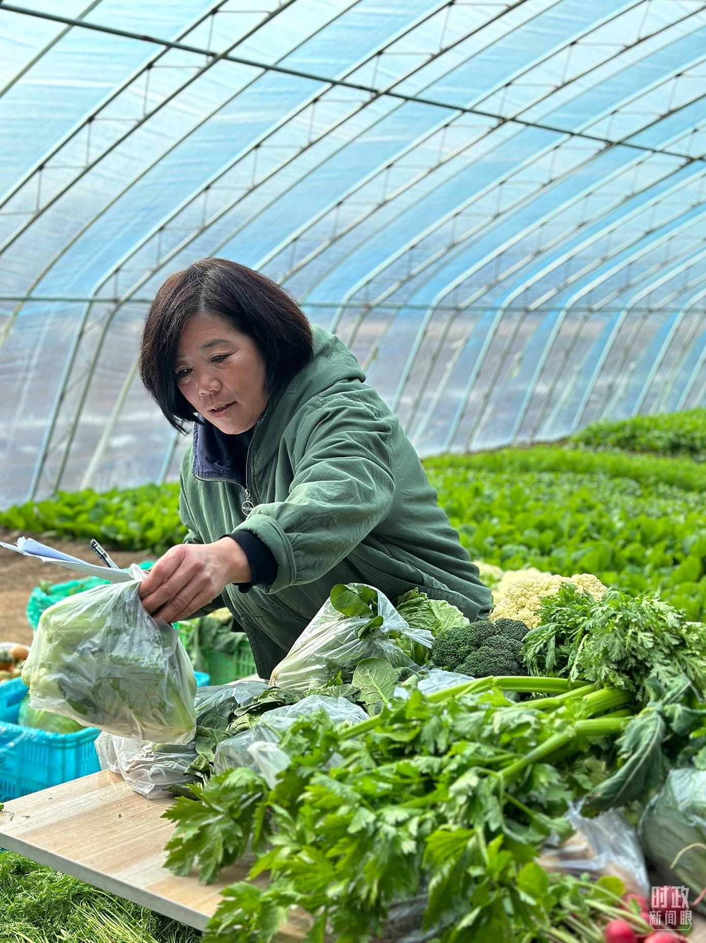 △第六埠村村民正在打包分裝蔬菜。（總臺央視記者盧心雨拍攝）