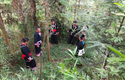 “瑤老”人民調(diào)解員翻山越嶺開展現(xiàn)場調(diào)解。