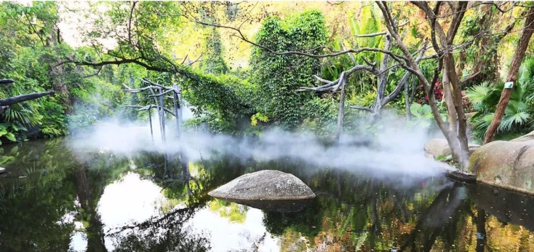 △鼓浪嶼-萬(wàn)石山風(fēng)景名勝區(qū)重要組成部分廈門(mén)園林植物園熱門(mén)景點(diǎn)“雨林世界”。