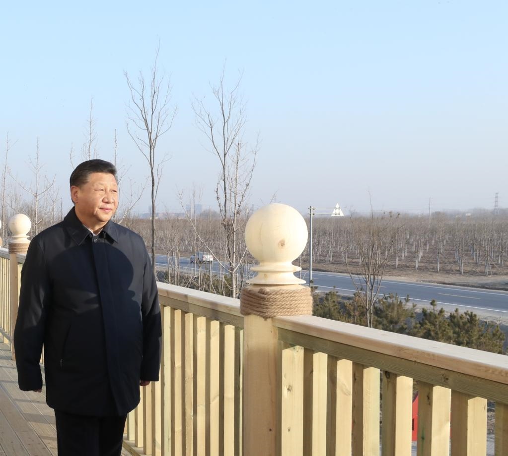 2019年1月16日，在河北雄安新區(qū)“千年秀林”大清河片林一區(qū)造林區(qū)域，習近平總書記登上秀林驛站二層平臺遠眺林區(qū)全貌。新華社記者 鞠鵬 攝