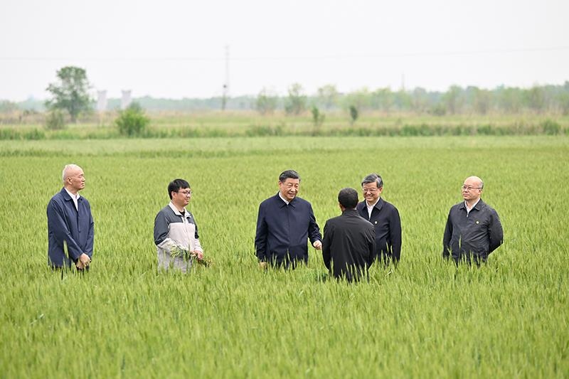 △2023年5月11日，習近平總書記在河北滄州黃驊市舊城鎮(zhèn)仙莊片區(qū)旱堿地麥田同種植戶、農技專家親切交流。