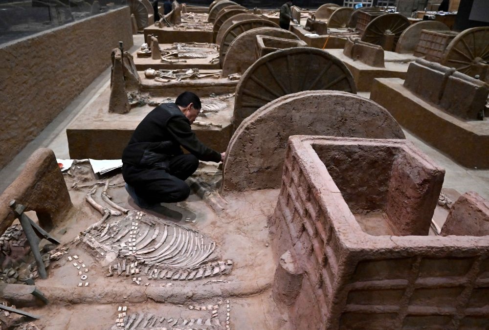 工作人員在殷墟博物館新館的展廳內(nèi)修復(fù)車馬遺跡（2月23日攝）。