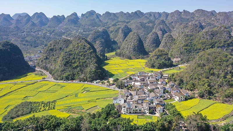 2024年2月17日，貴州省興義市萬峰林景區(qū)的油菜花海景色（無人機(jī)照片）。