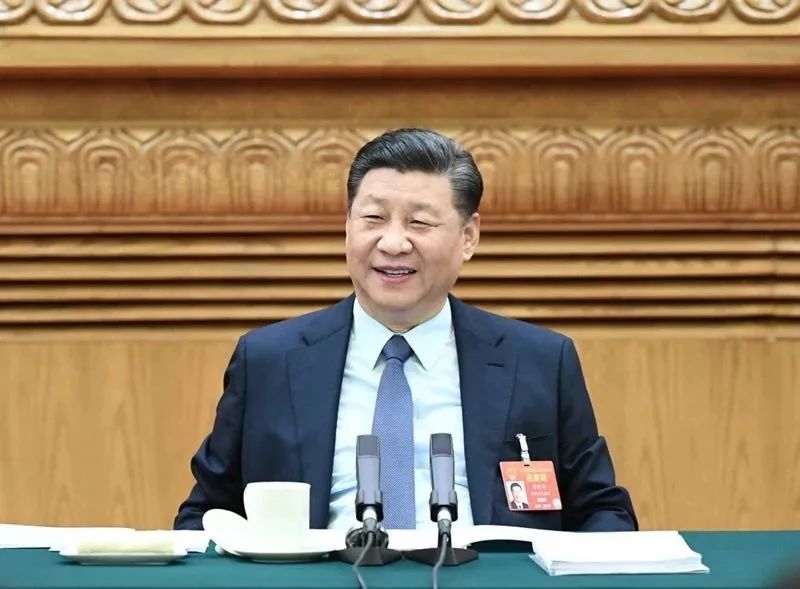 2019年3月8日，習(xí)近平參加十三屆全國(guó)人大二次會(huì)議河南代表團(tuán)的審議。新華社記者 謝環(huán)馳 攝