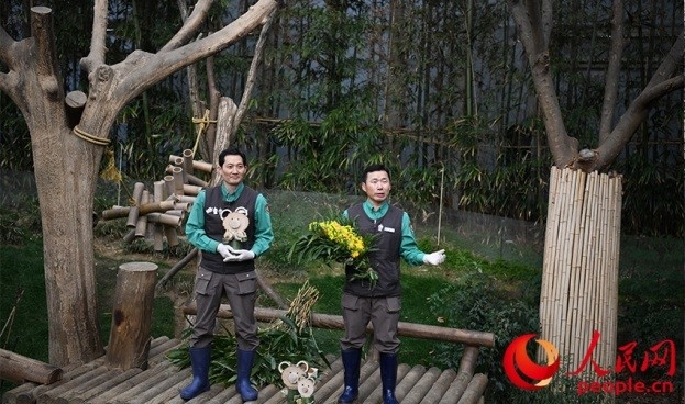熊貓飼養(yǎng)員姜哲遠(yuǎn)和宋永寬向媒體介紹為“福寶”準(zhǔn)備的送別禮物。人民網(wǎng) 李帆攝
