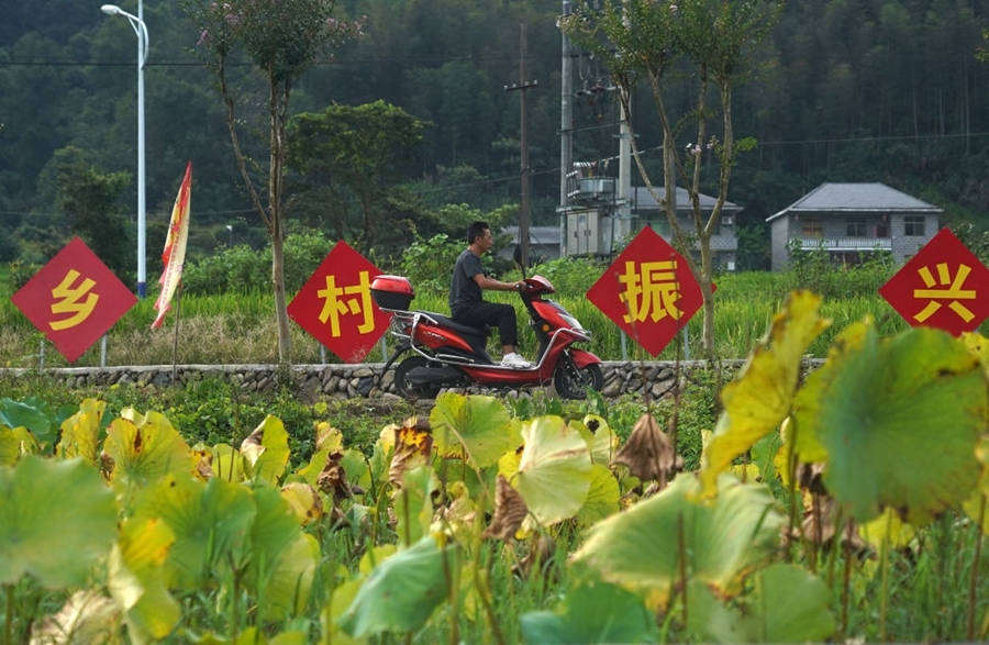 2023年8月24日拍攝的江西省靖安縣璪都鎮(zhèn)港背村一景。該村在當(dāng)?shù)卣С窒?，修古建，建民宿，搞開發(fā)，引進竹筏漂流、觀光采摘、農(nóng)耕體驗、森林研學(xué)等多種旅游業(yè)態(tài)，建成新田園生態(tài)度假小鎮(zhèn)，發(fā)展鄉(xiāng)村旅游，走上致富路。