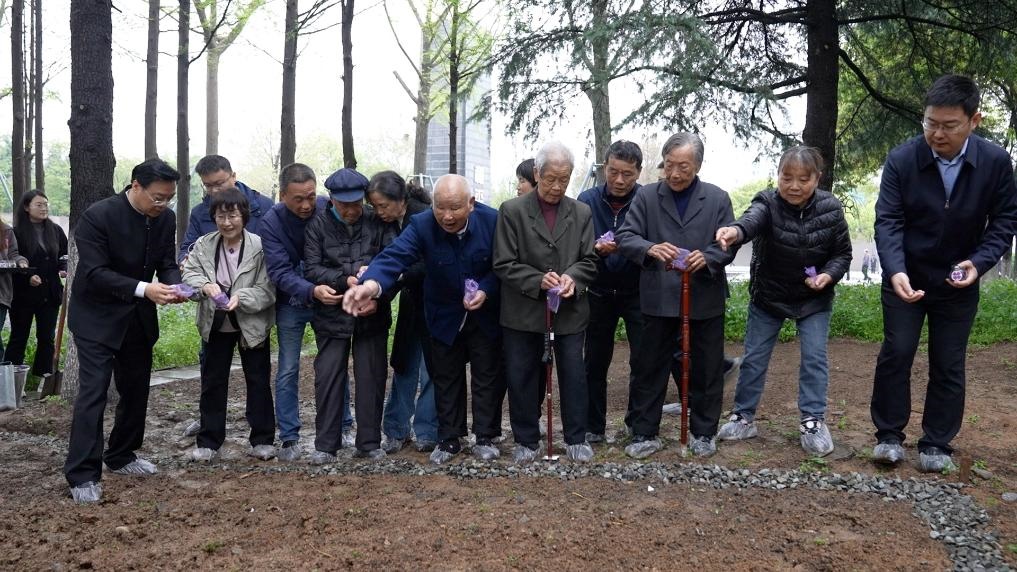 南京大屠殺幸存者代表、死難者遺屬代表等在紀(jì)念館的和平公園里，播撒下紫金草的種子。新華社記者林凱 攝