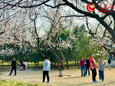 游客在北京長陽公園賞花。人民網(wǎng)記者 劉微攝