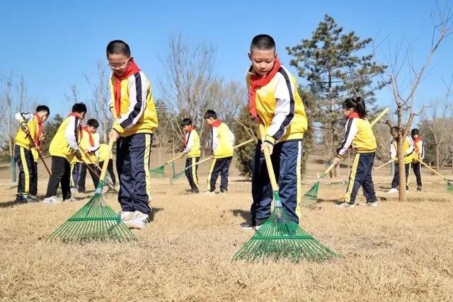 △2024年3月12日，北京城市綠心森林公園，參加植樹節(jié)主題活動的學(xué)生們學(xué)習(xí)義務(wù)植樹知識，并進(jìn)行現(xiàn)場撫育管護(hù)。