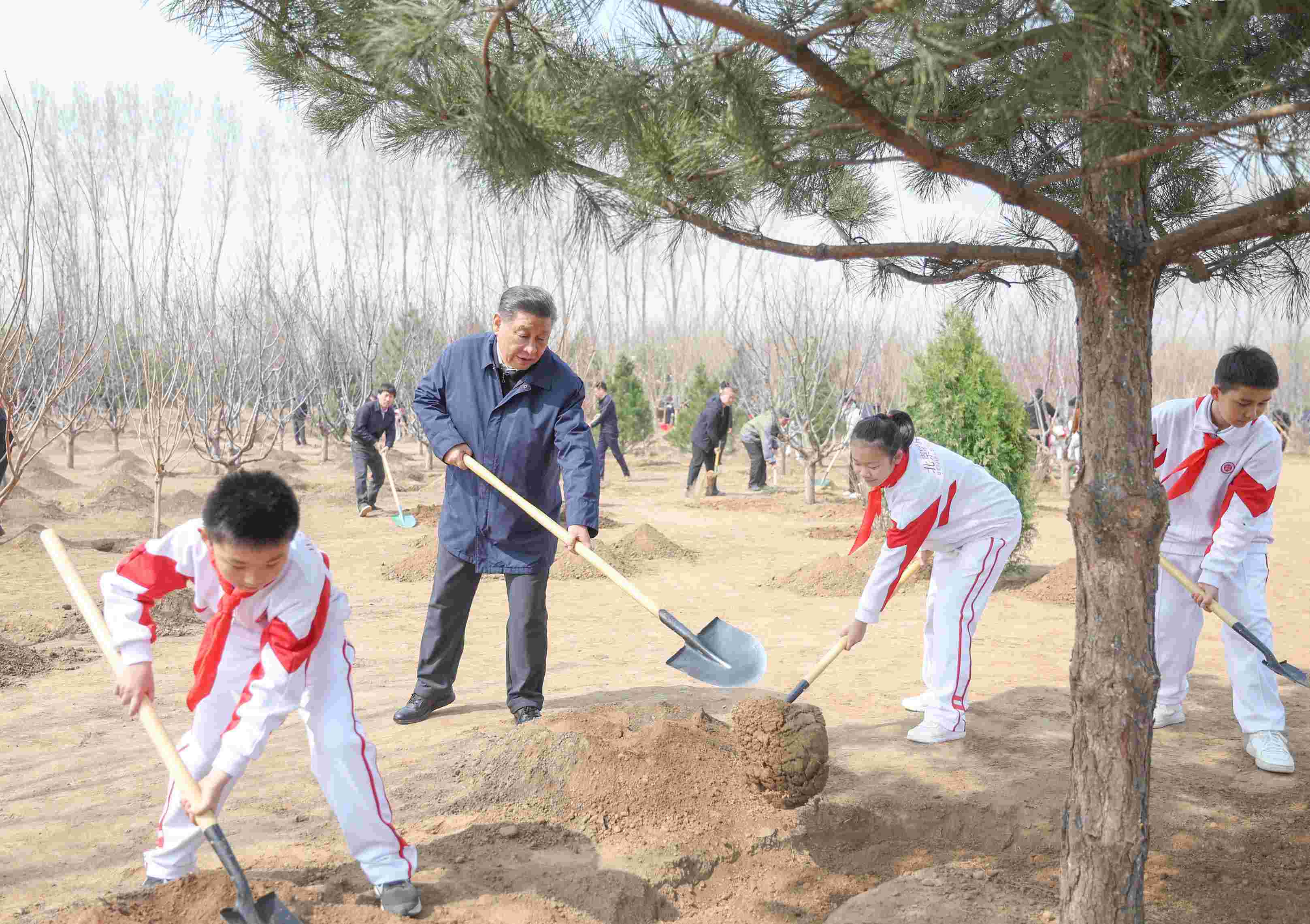 2024年4月3日，習(xí)近平總書記來到北京市通州區(qū)潞城鎮(zhèn)參加首都義務(wù)植樹活動(dòng)。