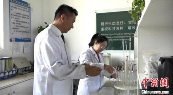 圖為王佐(左一)在廠區(qū)實(shí)驗(yàn)室內(nèi)工作。白先森 攝