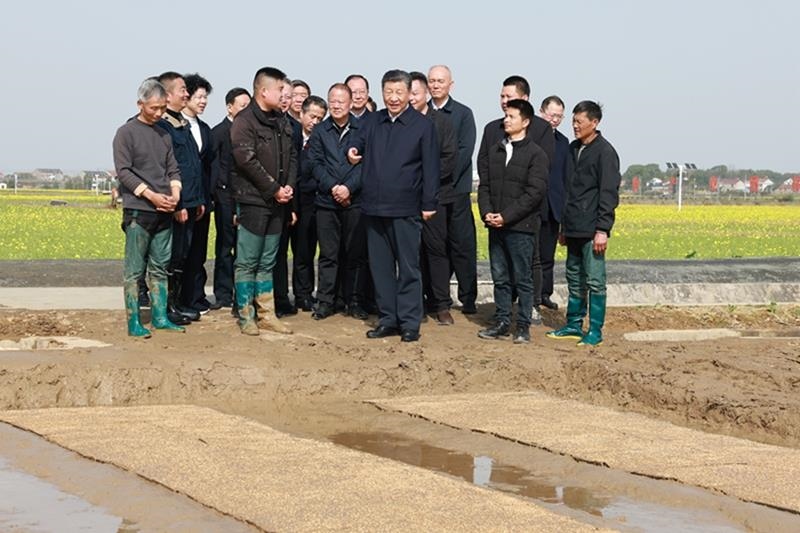△2024年3月19日，在湖南常德市鼎城區(qū)謝家鋪鎮(zhèn)港中坪村，習近平總書記走進田間，察看秧苗培育和春耕備耕進展。