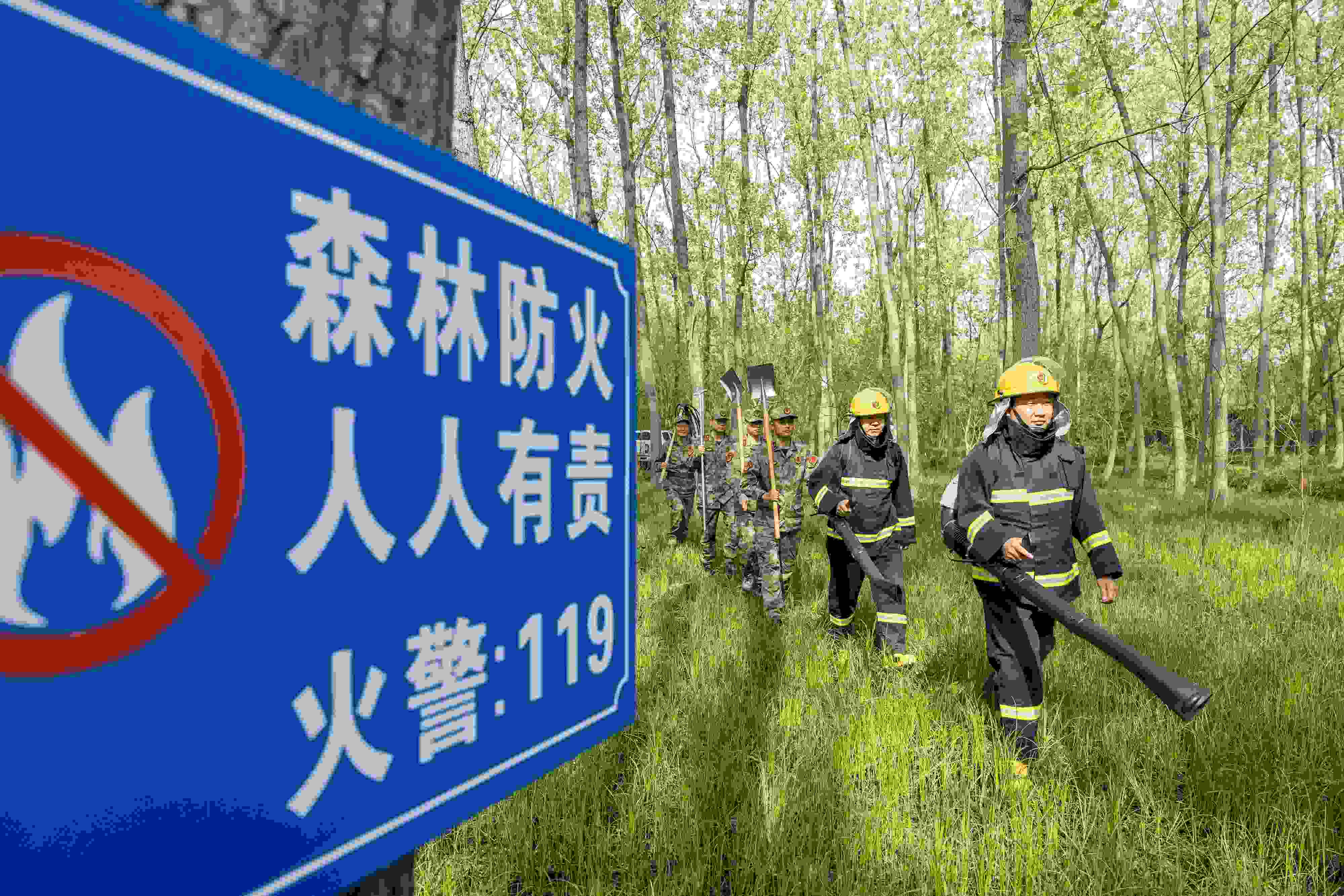 2024年4月9日，合肥市大房郢水庫水源保護(hù)地廬陽經(jīng)濟(jì)開發(fā)區(qū)段，基干民兵正在林間巡查火災(zāi)隱患。
