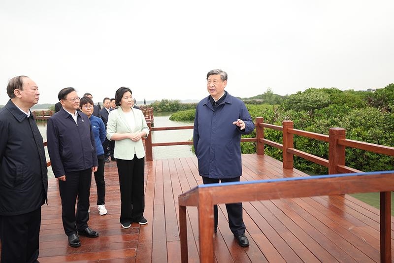 △2023年4月10日，習(xí)近平總書記在廣東湛江市麻章區(qū)湖光鎮(zhèn)金牛島紅樹林片區(qū)考察。