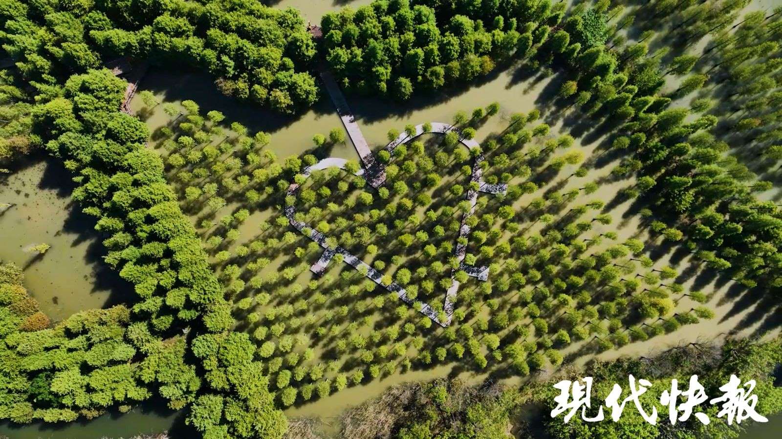洪澤湖濕地國家級(jí)自然保護(hù)區(qū)