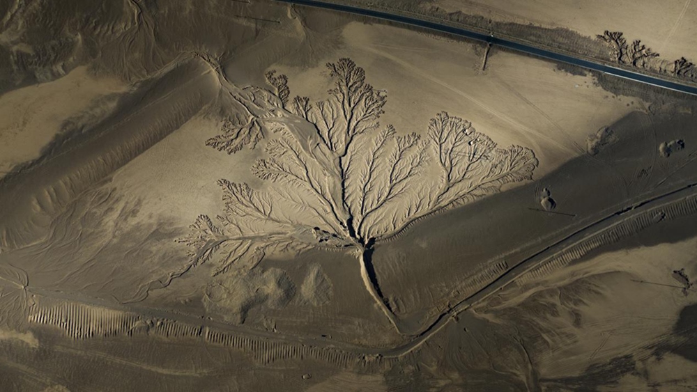 無(wú)人機(jī)視角下的西藏阿里地區(qū)改則縣“大地之樹(shù)”景觀。尼瑪多吉攝