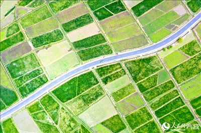 無(wú)人機(jī)視角下的西藏山南市瓊結(jié)農(nóng)田。人民網(wǎng)記者 次仁羅布攝