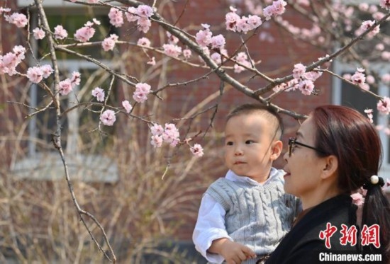 4月21日，游客在吉林大學(xué)南嶺校區(qū)賞花。張瑤 攝