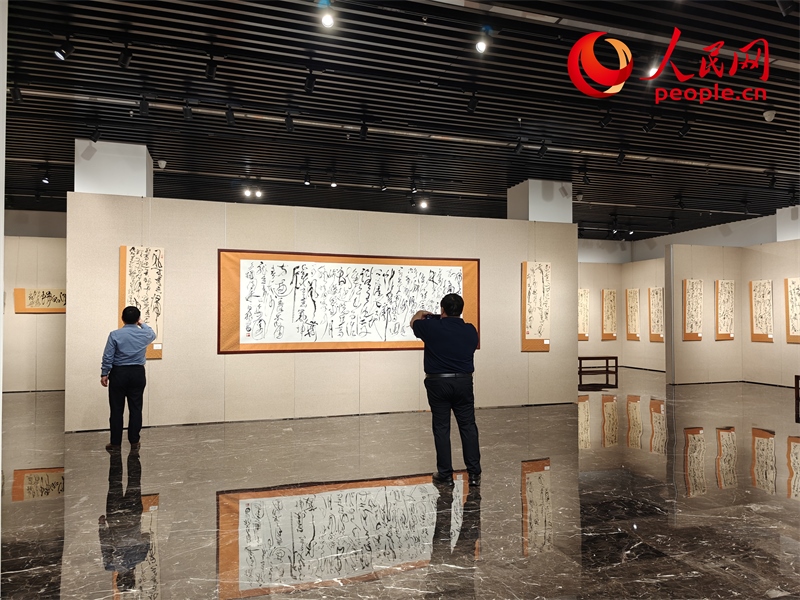 觀眾正在參觀展覽。人民網(wǎng)記者 韋衍行攝