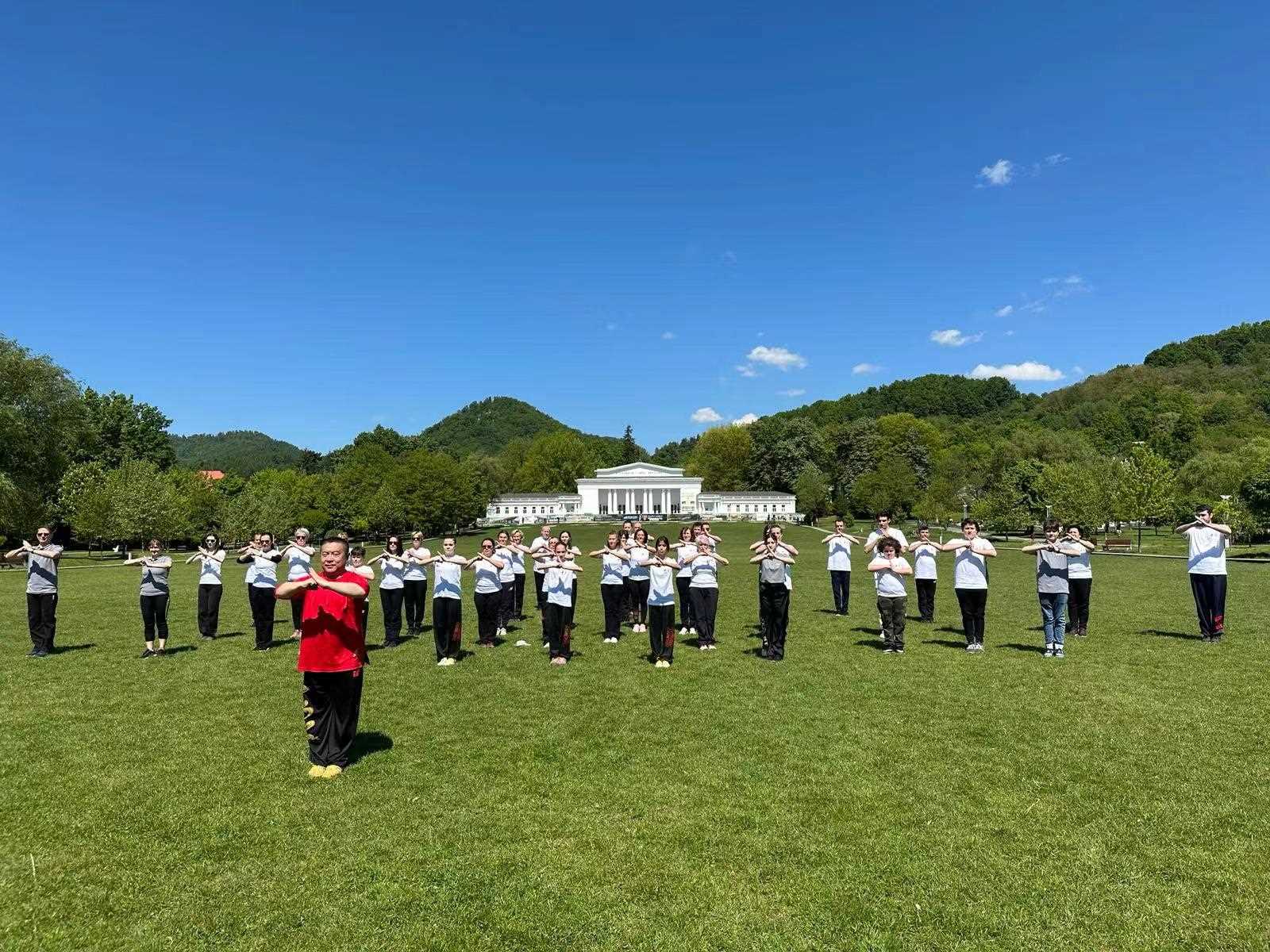 北京體育大學(xué)教授武冬帶領(lǐng)學(xué)員進(jìn)行太極拳演練。布加勒斯特中國文化中心供圖