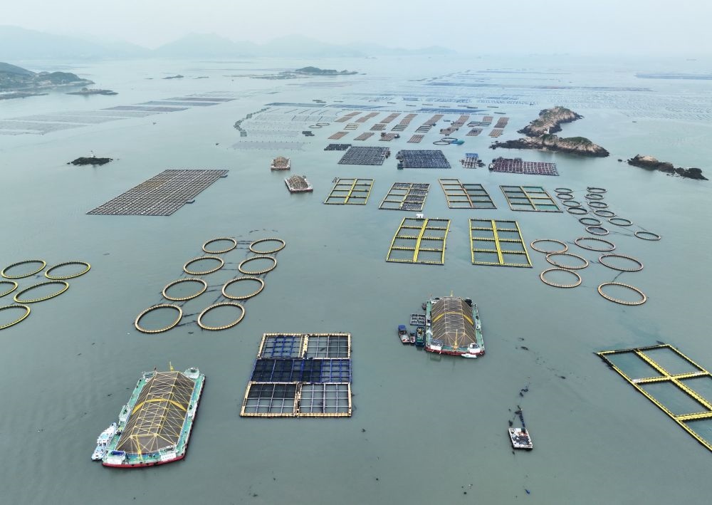 在福建連江定海灣海域，坐落著“定海灣1號”“定海灣2號”等深遠海養(yǎng)殖平臺（2024年5月7日攝，無人機照片）。新華社記者 林善傳 攝