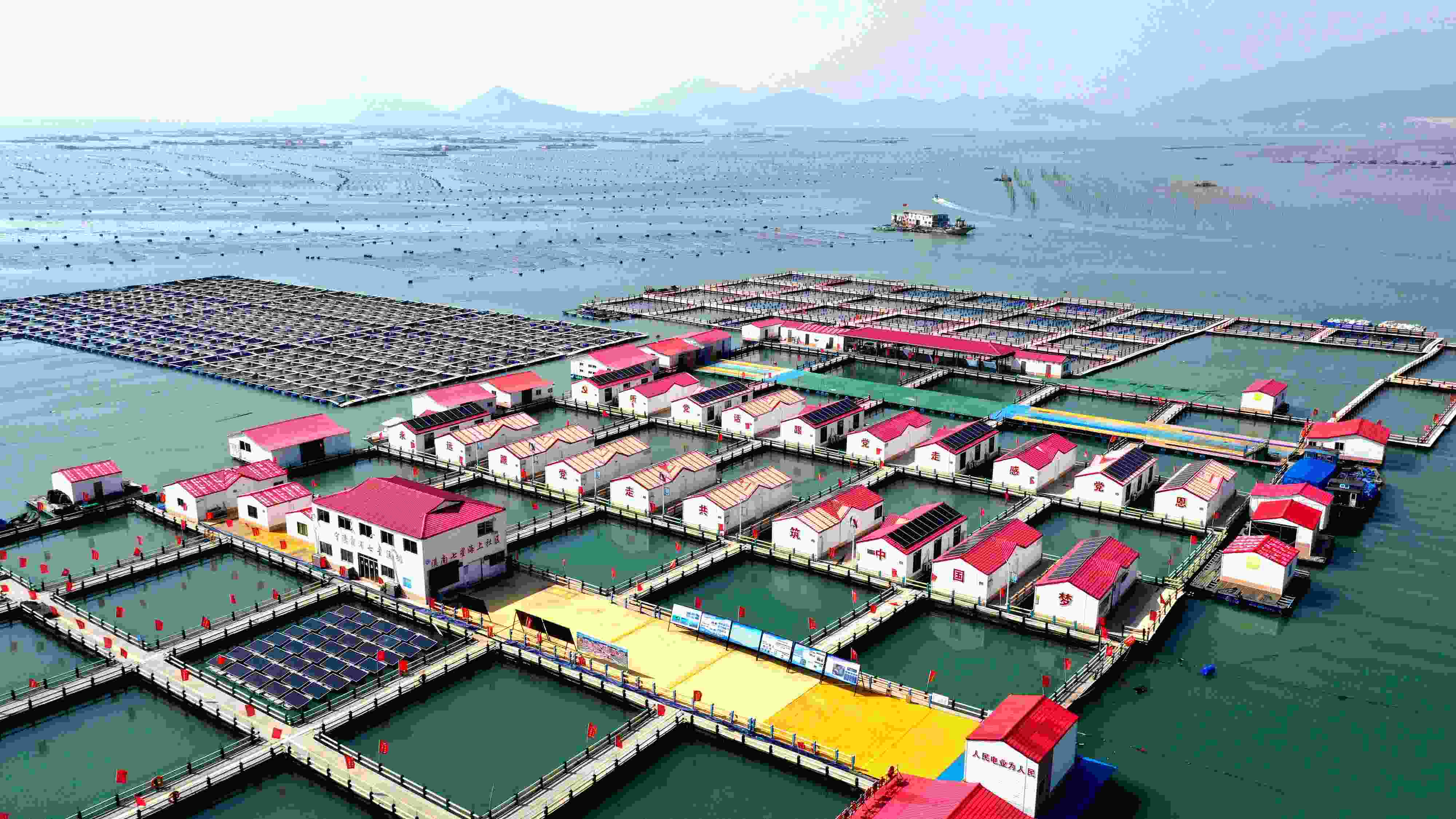 2024年3月20日，福建省寧德市，霞浦縣溪南鎮(zhèn)七星村漁排養(yǎng)殖示范區(qū)，漁民駕駛養(yǎng)殖船進行海參養(yǎng)殖作業(yè)。