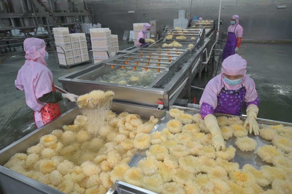 2024年5月10日，在福建省寧德市古田縣，一家食品公司的工作人員在挑選清洗銀耳。新華社記者 林善傳 攝