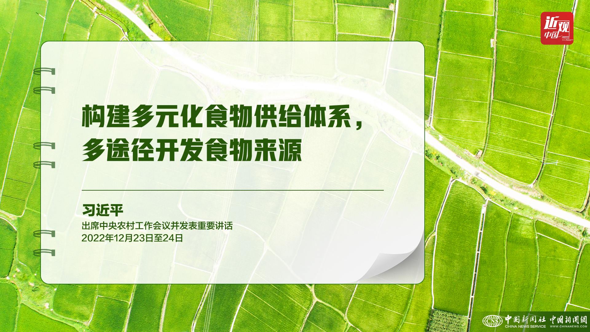 習(xí)近平：樹立大食物觀，構(gòu)建多元化食物供給體系