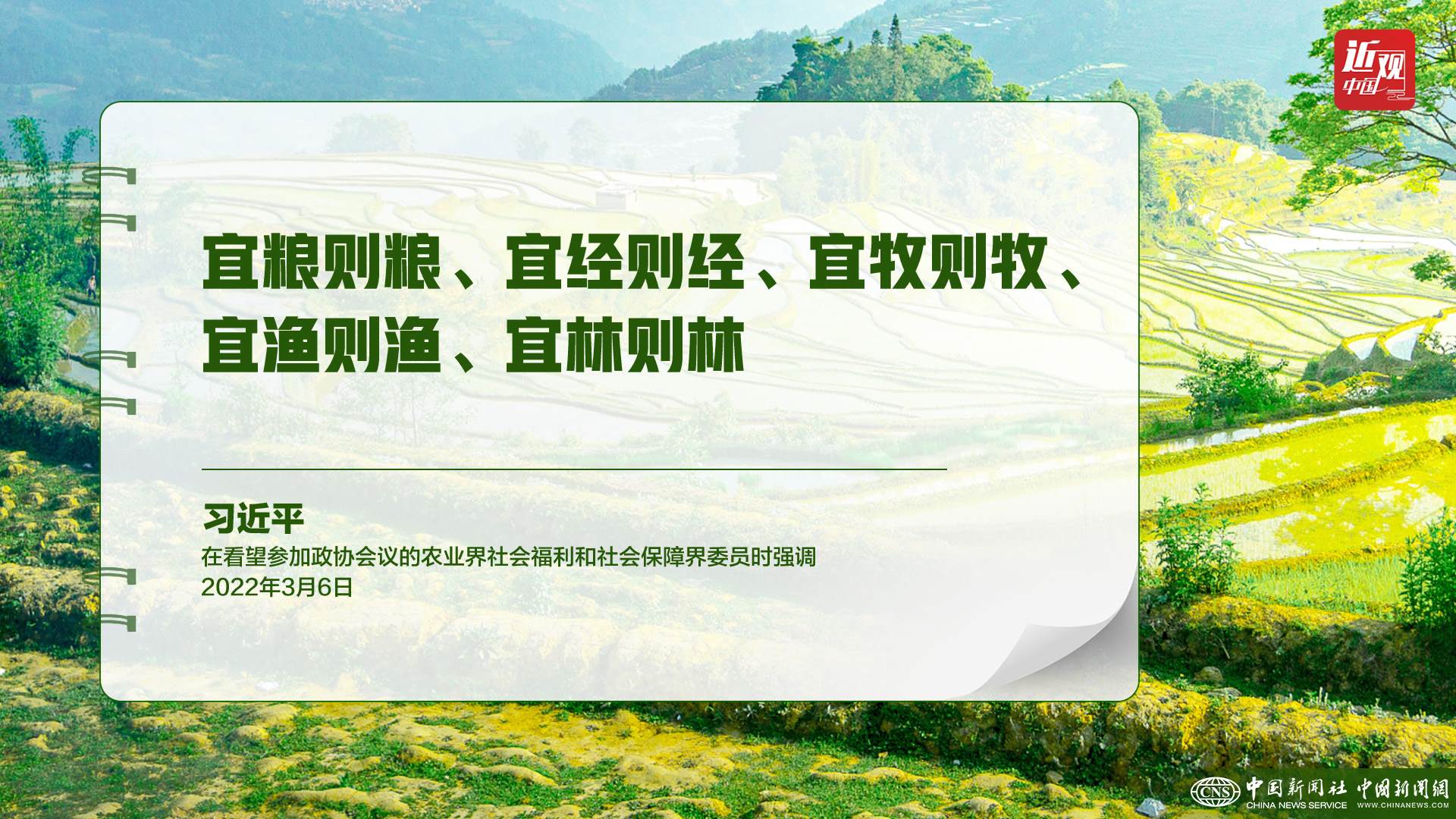 習(xí)近平：樹立大食物觀，構(gòu)建多元化食物供給體系