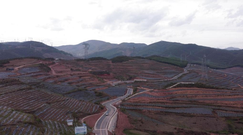 火普村的藍(lán)莓基地一角（無人機(jī)照片）。新華社記者 尹恒 攝