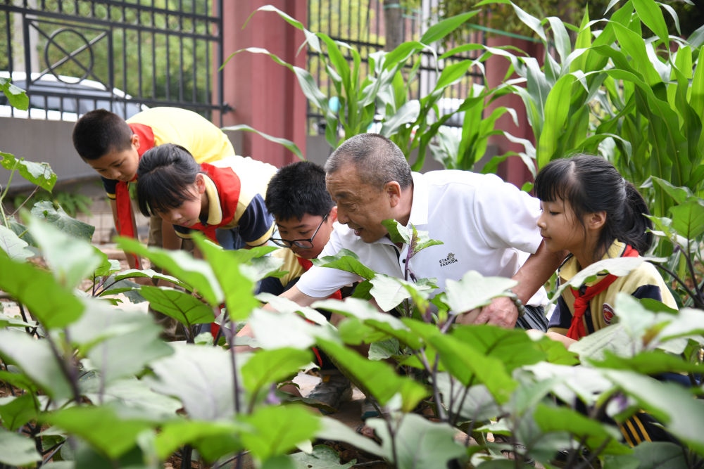 5月31日，老師帶領學生在之江小學勞動實踐基地學習蔬菜知識。新華社記者 胥冰潔 攝