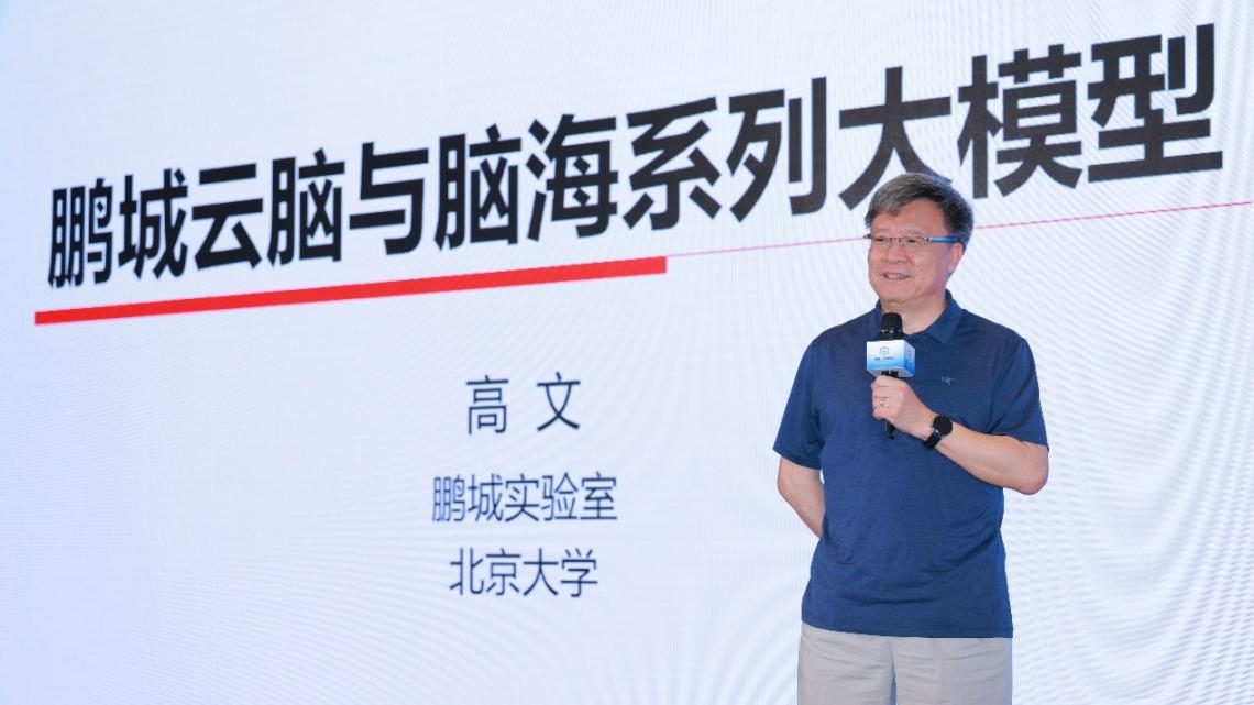 高文院士做大會(huì)特邀報(bào)告。主辦方供圖