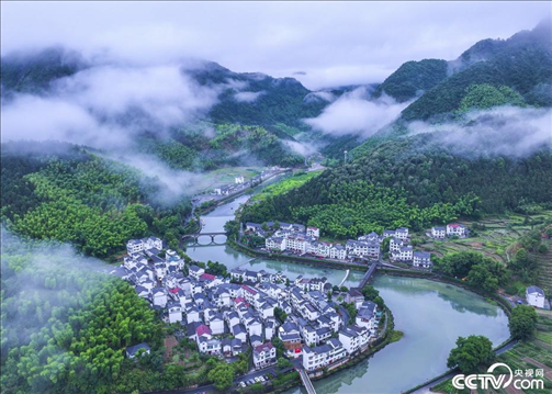 2024年6月19日，浙江省杭州市淳安縣楓樹嶺鎮(zhèn)下姜村，雨后云霧繚繞。