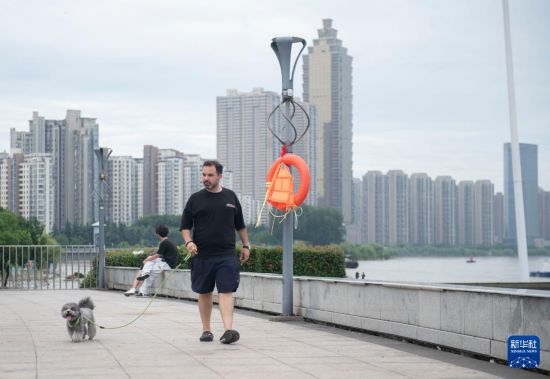 7月20日，在安徽蕪湖市，馬丁在長(zhǎng)江邊遛狗。新華社記者 傅天 攝