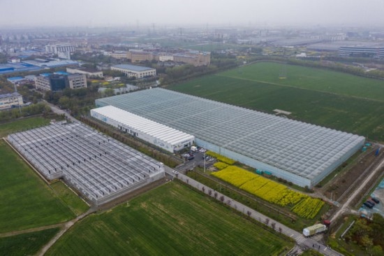 2024年3月28日，空中俯瞰嘉興南湖區(qū)湘家蕩農(nóng)業(yè)數(shù)字化工廠（無人機(jī)照片）。該農(nóng)業(yè)數(shù)字化工廠占地總面積約62畝，包含智慧農(nóng)業(yè)生產(chǎn)、物聯(lián)網(wǎng)智能管理、自動(dòng)分揀包裝、保鮮儲(chǔ)藏物流、高科技示范展示等五大功能區(qū)，可直接或間接培養(yǎng)帶動(dòng)新型職業(yè)技術(shù)農(nóng)民500人以上。新華社記者 徐昱 攝