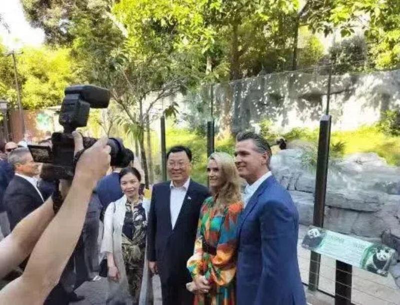 謝鋒大使及夫人與加州州長紐森夫婦在圣迭戈動物園大熊貓館前合影。圖片為中國駐美大使館提供