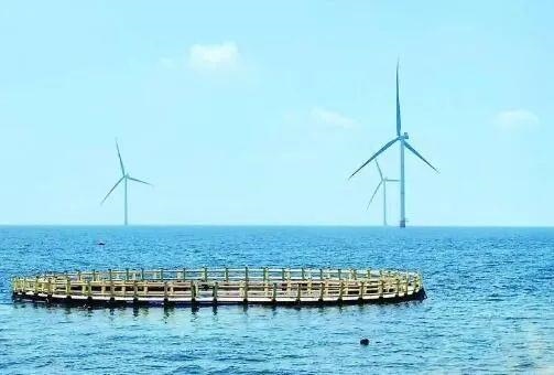 △山東萊州風(fēng)電項目實現(xiàn)了海上風(fēng)電和海洋牧場融合發(fā)展。