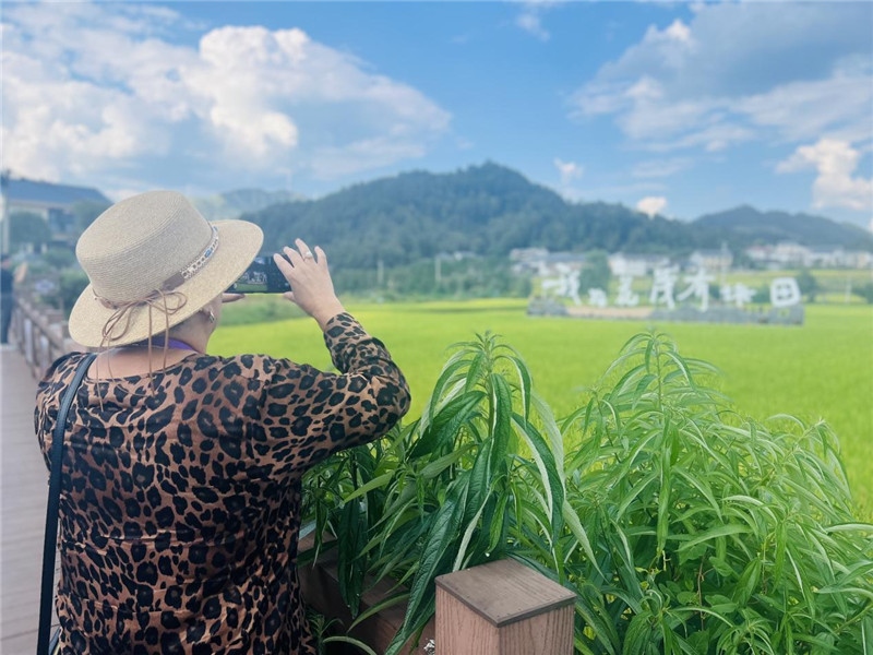 “我在花茂有塊田”，不僅是中國人的詩和遠(yuǎn)方，也是塔吉克斯坦“阿維斯塔”通訊社總編輯占納特洪·庫爾班諾娃的“烏托邦”。（張亞欣攝）