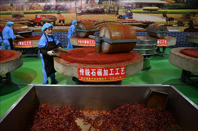 工人用電動石碾加工辣椒面。新華社記者 范培珅 攝