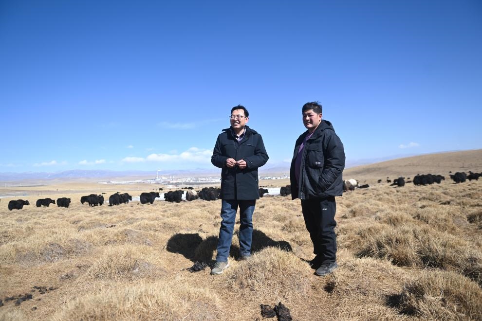 2023年2月24日，在青海省海北藏族自治州海晏縣青海湖鄉(xiāng)達(dá)玉日秀村，全國(guó)人大代表董全民（左）查看牧民東知布家的草場(chǎng)。新華社記者 張龍 攝