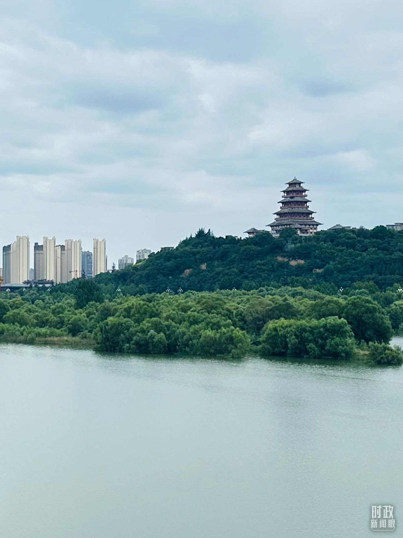△渭河寶雞段長(zhǎng)224公里，目前建成17處渭河灘區(qū)生態(tài)涵養(yǎng)區(qū)。（總臺(tái)央視記者范一鳴拍攝）